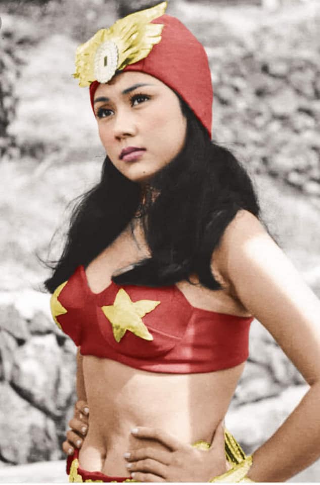 Vilma Santos darna