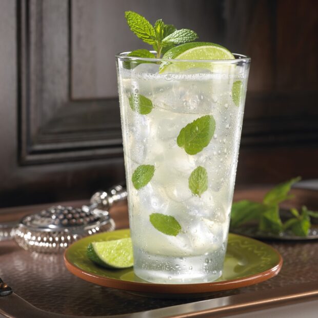 Bottomless Classic Mojito