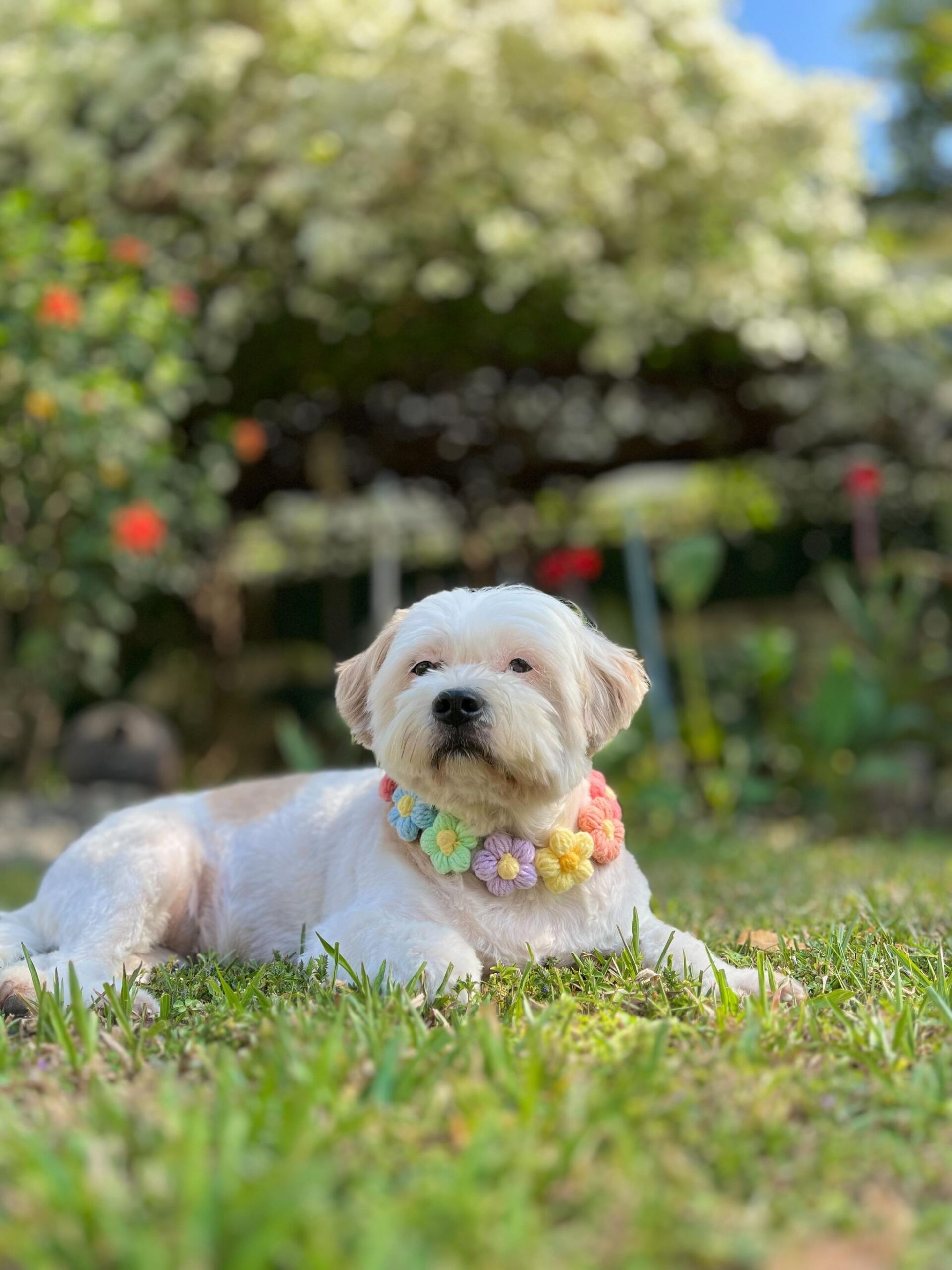 Charlie the gardener