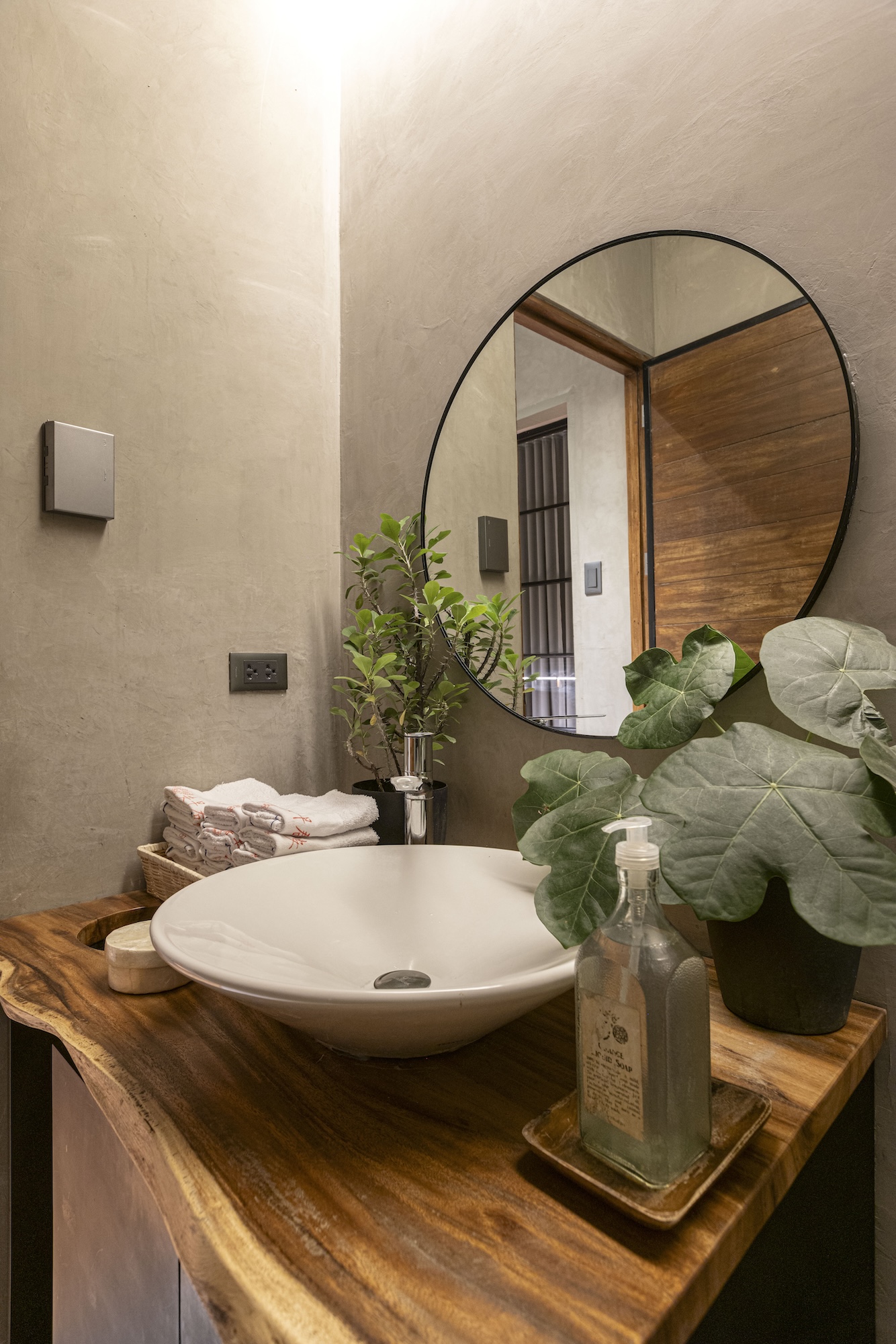 Vanity area flushed with plants and lavatory essentials