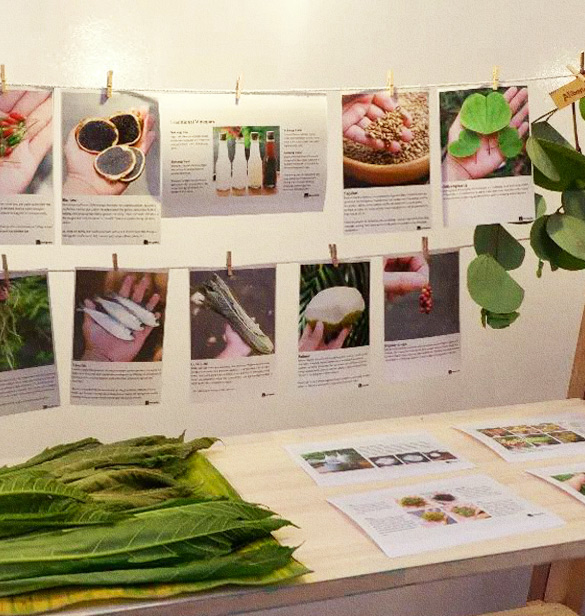 In October, Lokalpedia exhibited a selection of Philippine ingredients at Escolta