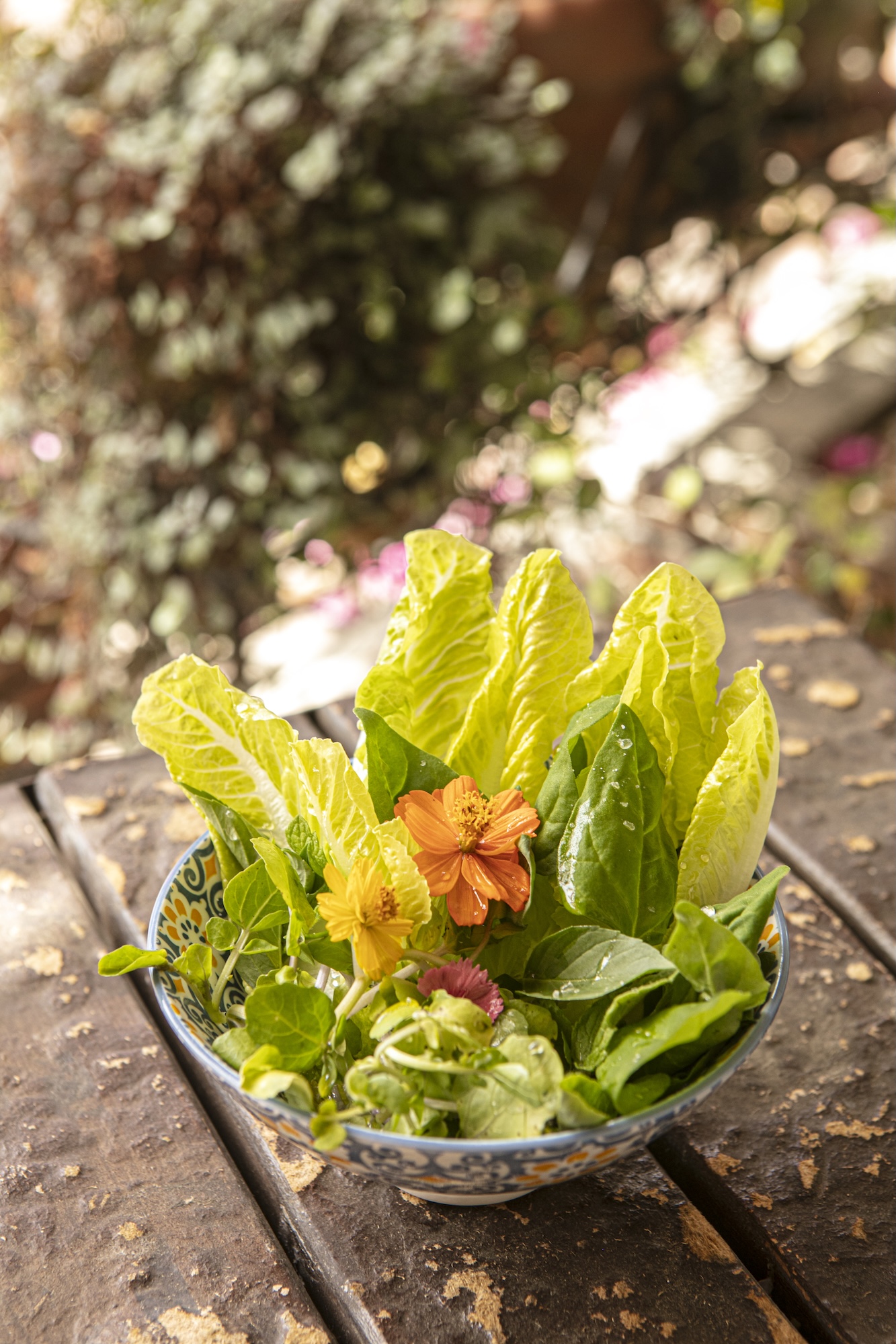 Fresh greens with herbs and edible flowers make salads colorful, delicious, and full of nutrients