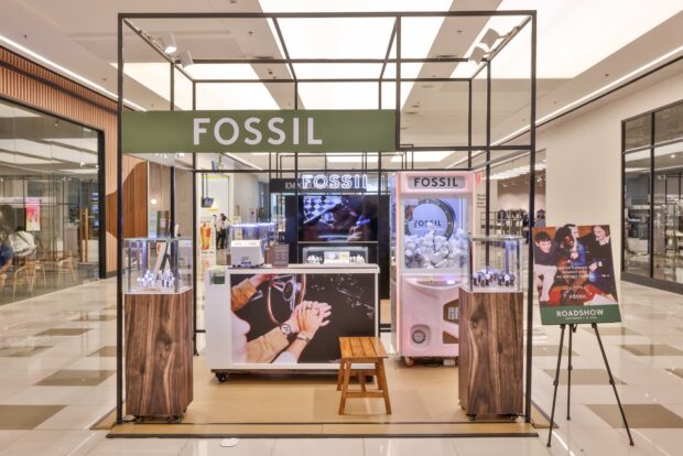 Fossil Pop-Up