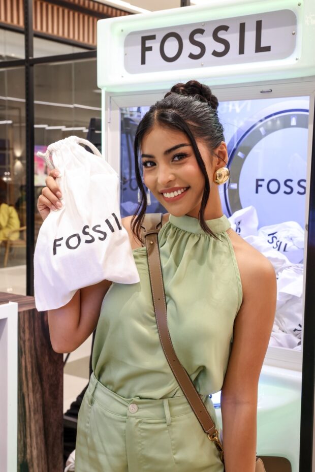 Fossil Pop-Up