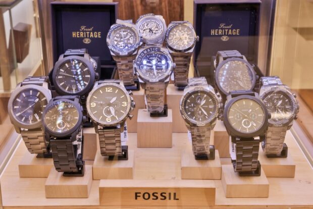 Fossil Pop-Up