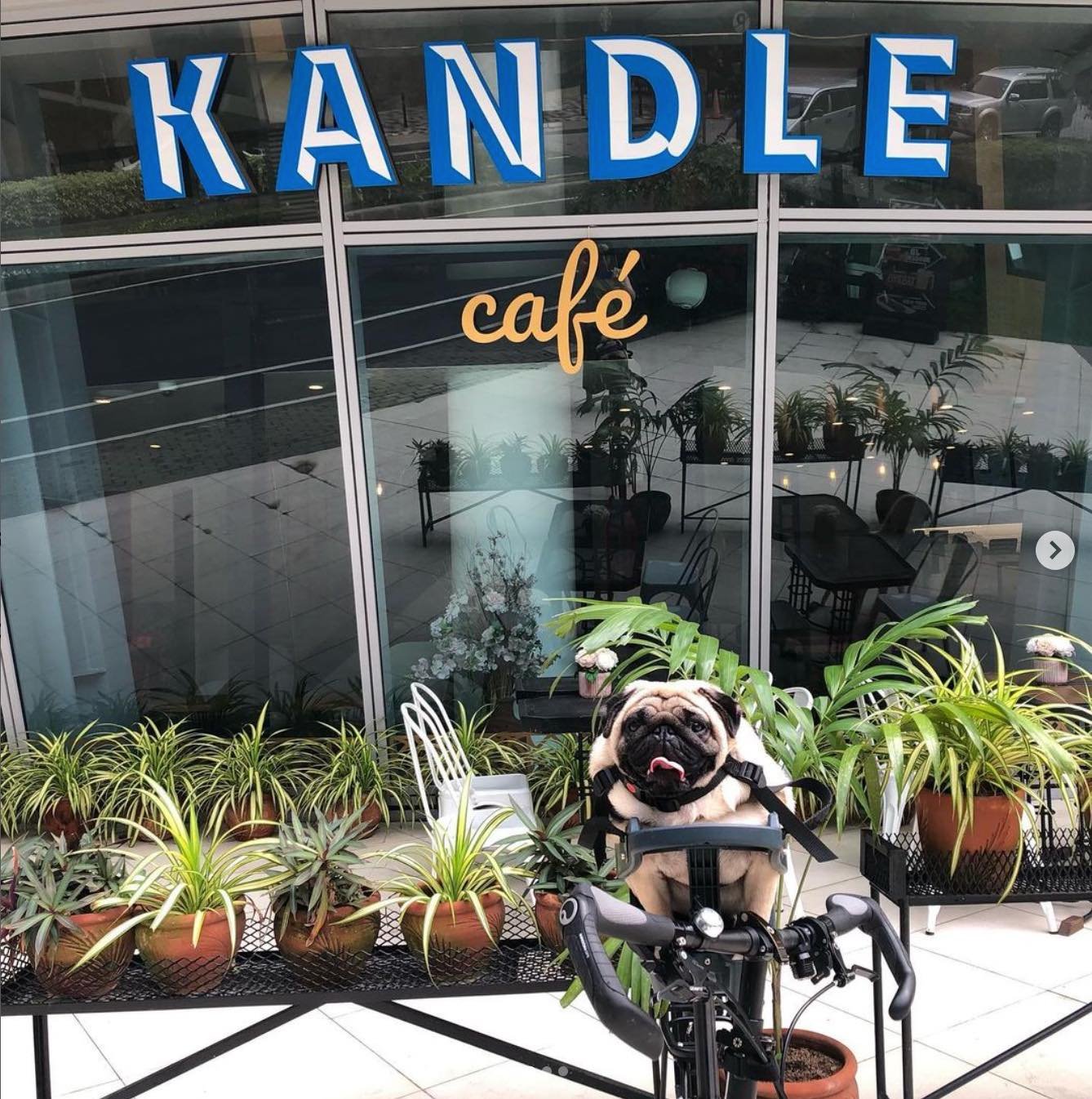 Kandle cafe