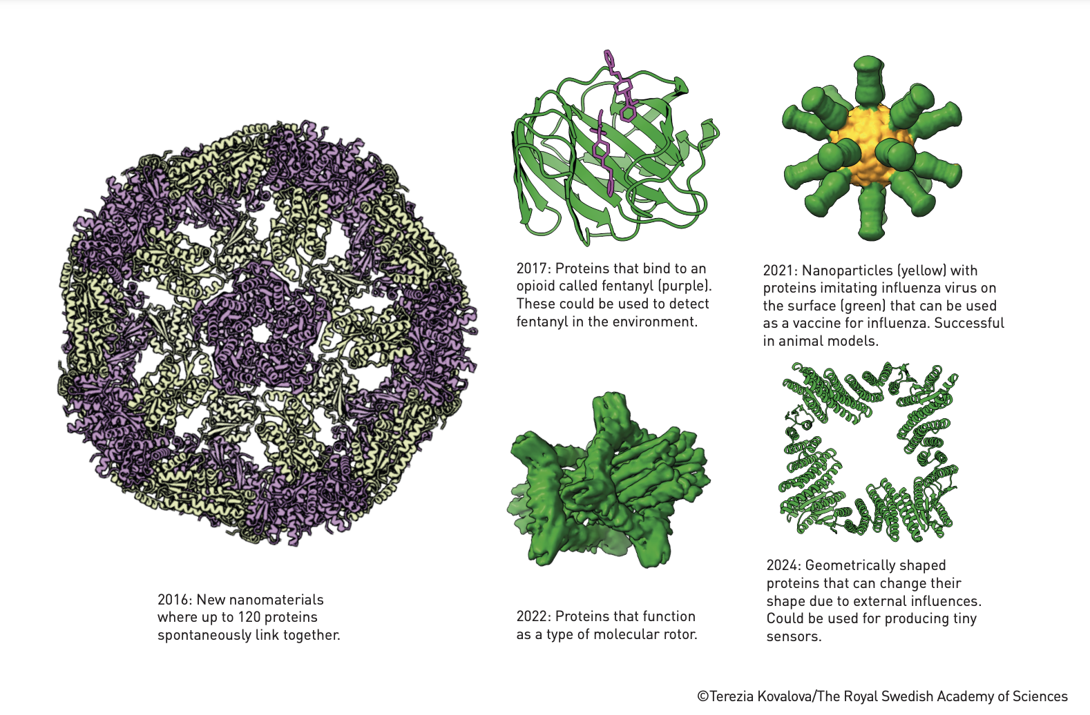 scientific illustration