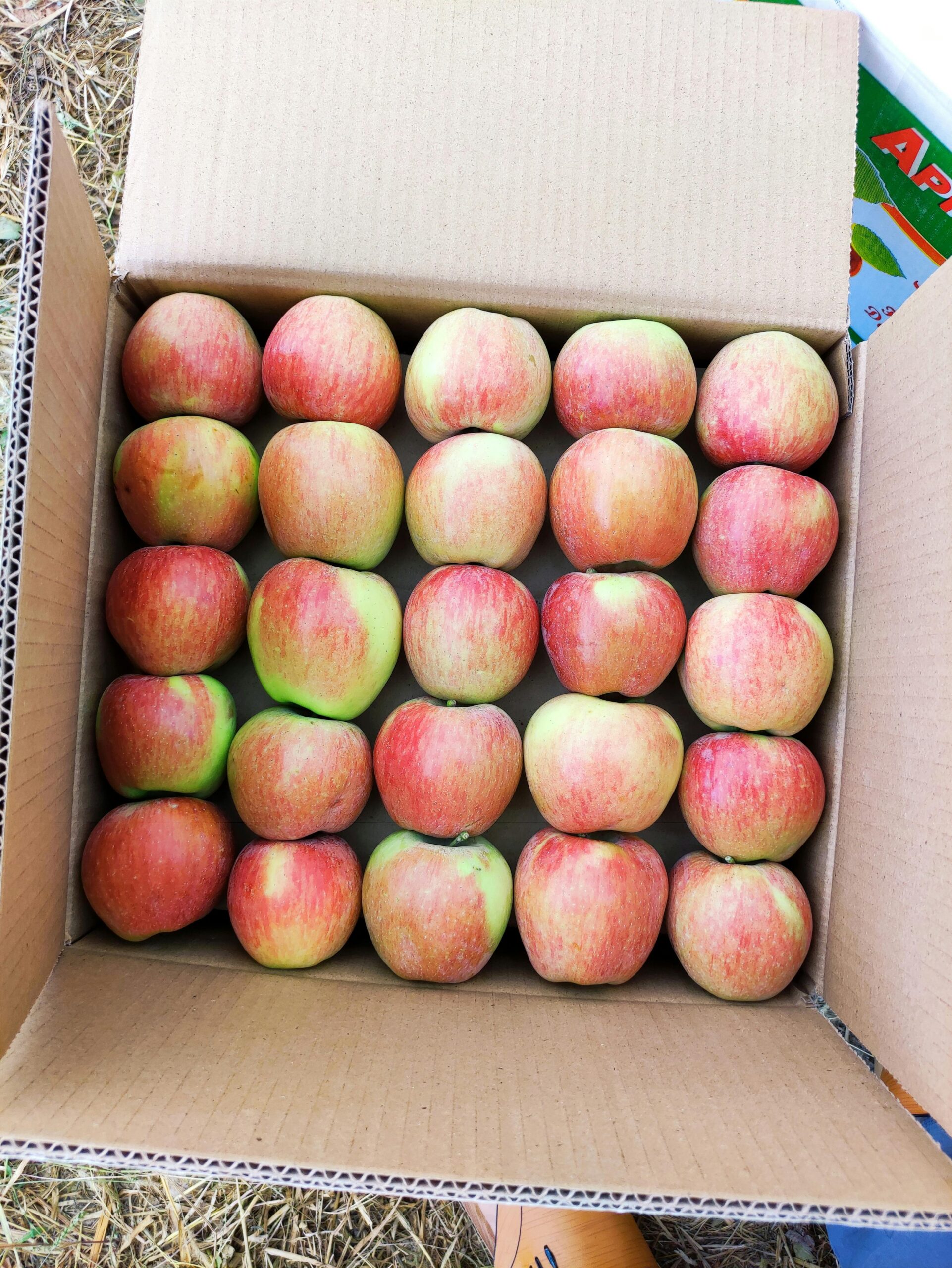 box of apples 