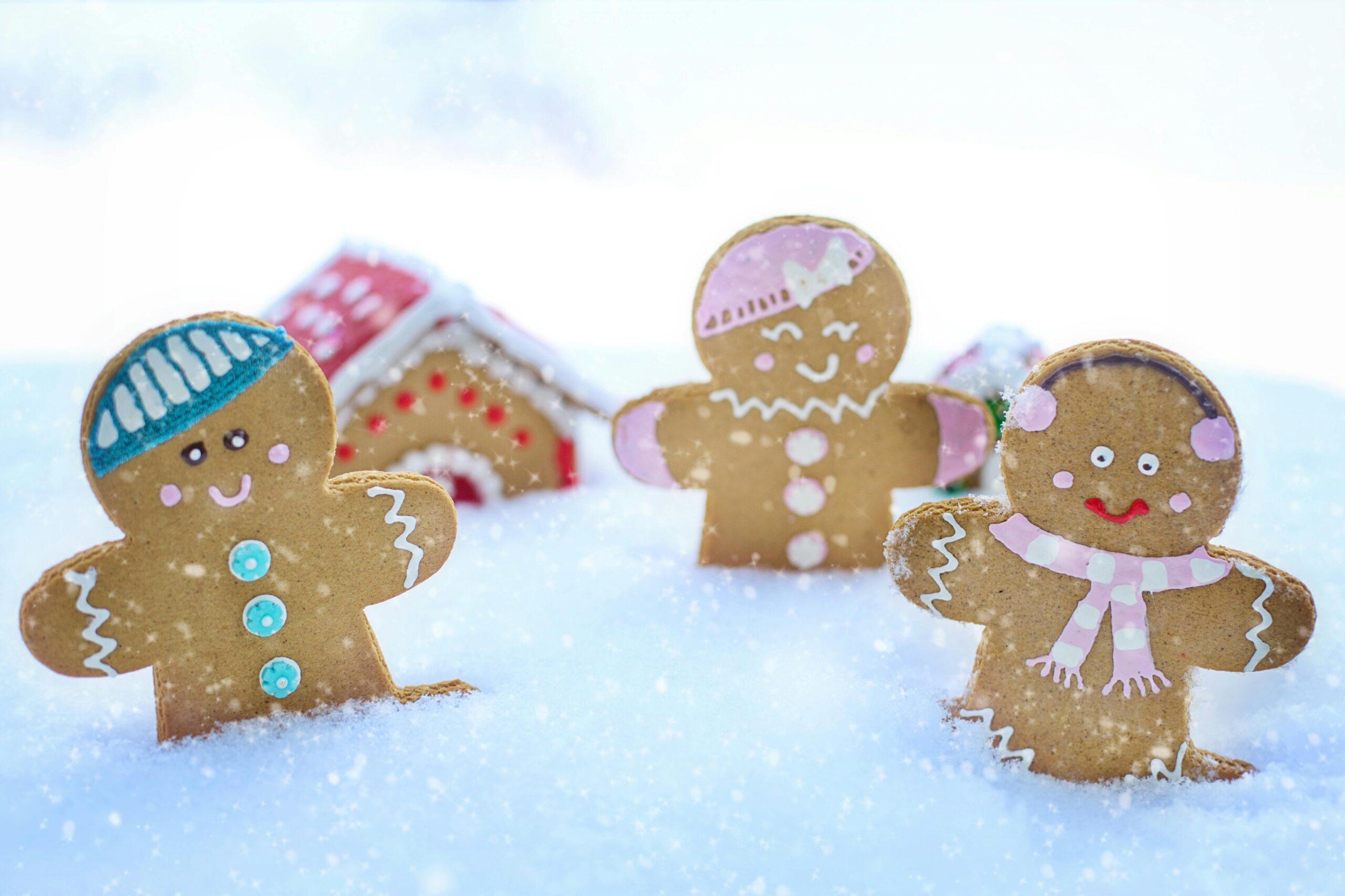 Gingerbread people