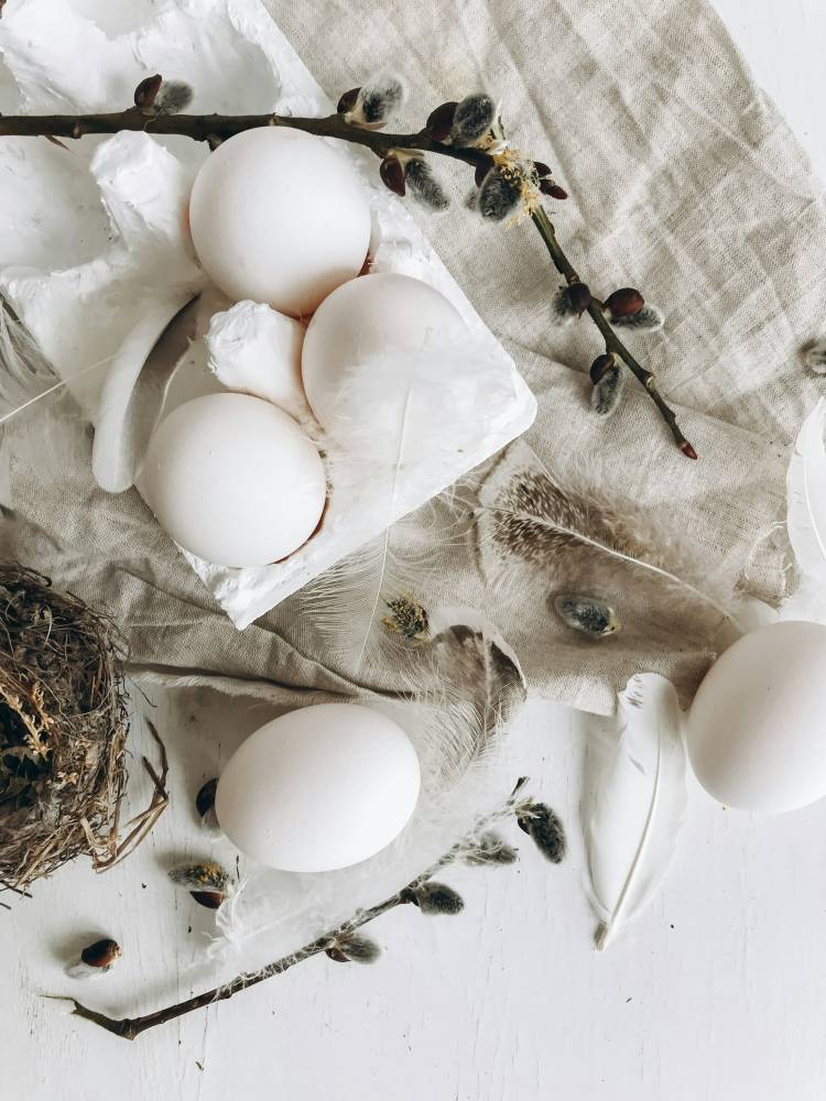 eggs and twigs