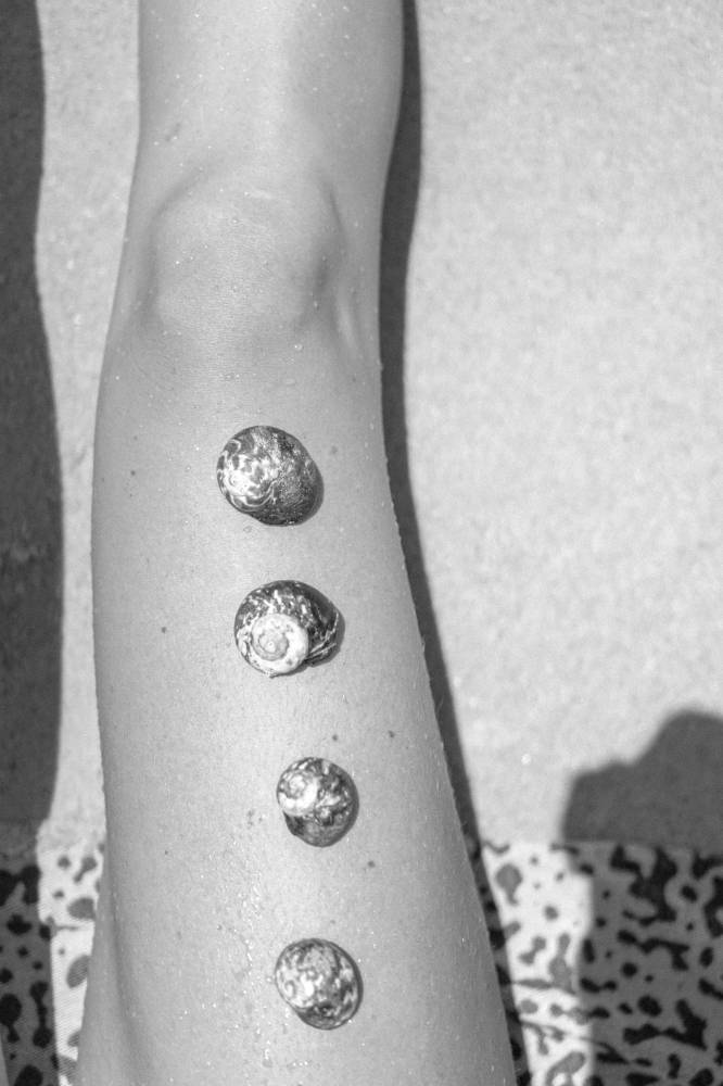 seashells on leg