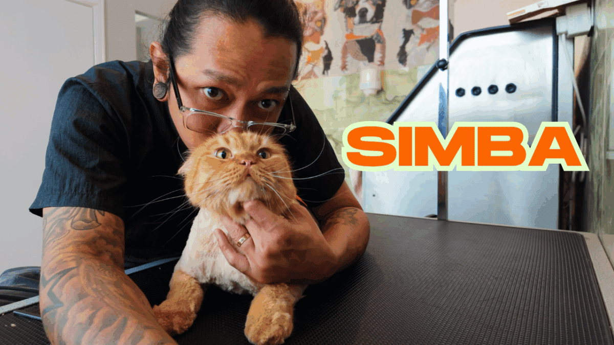 With Simba