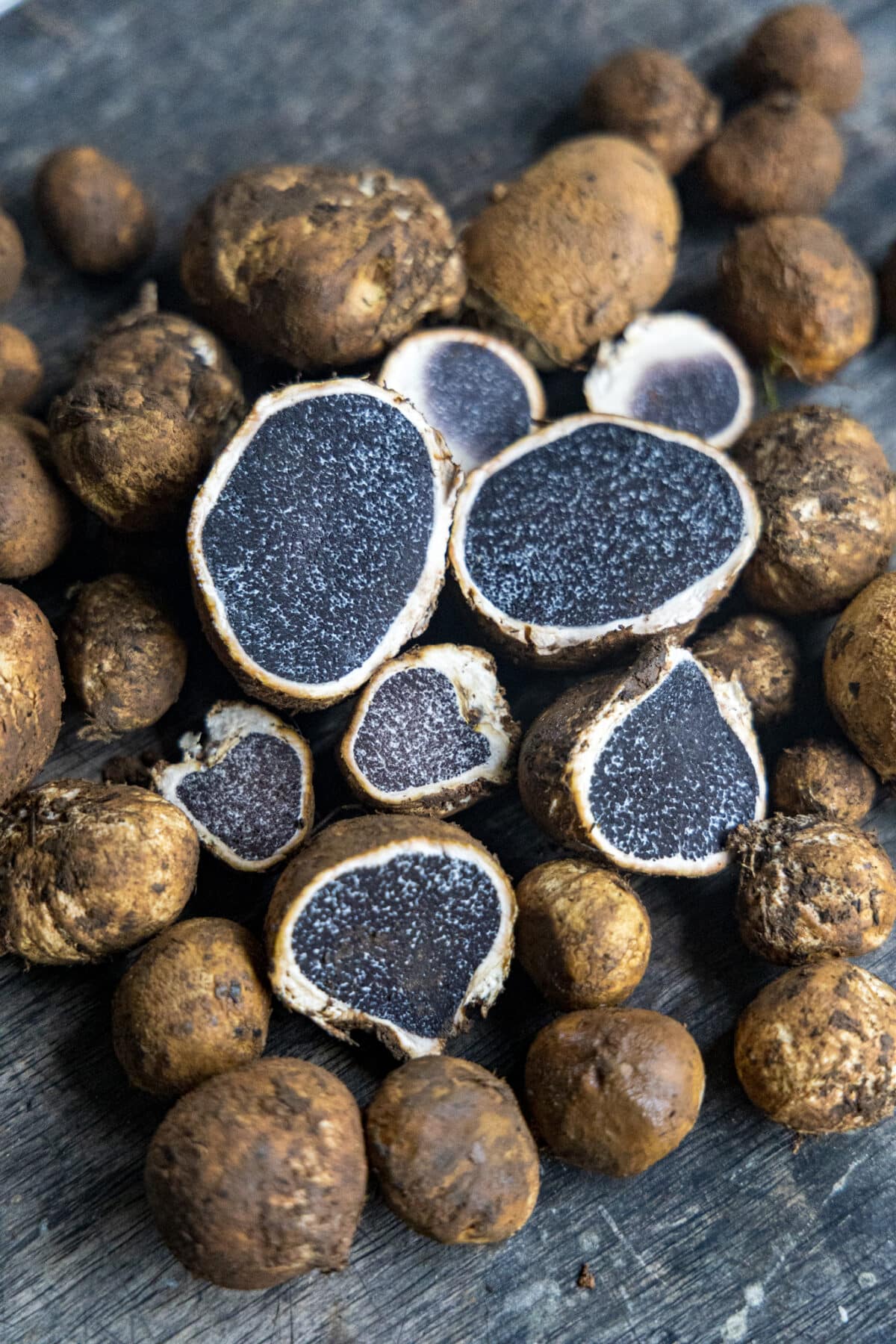 Bu-o (Cordillera truffle)
