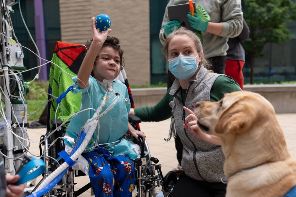 Children’s hospitals turn to dog caregivers to help kids heal ...