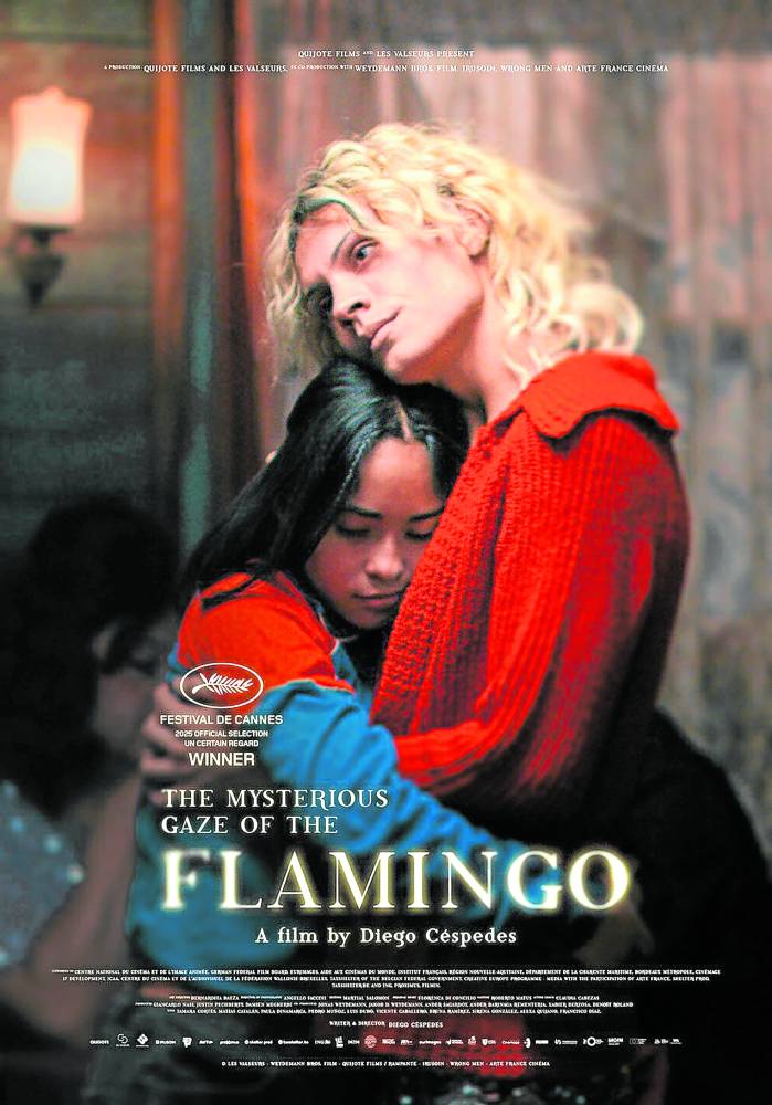 “The Mysterious Gaze of the Flamingo” | Poster from IMDB