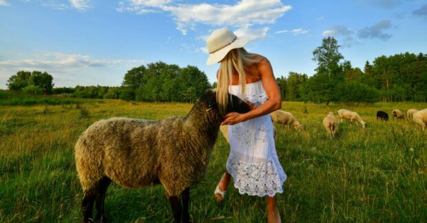 woman with sheep