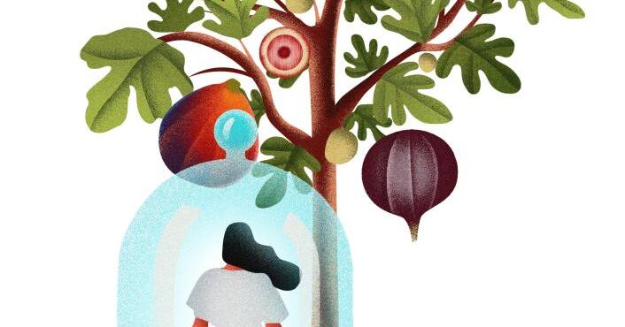 There is no wrong fig—there is only the life we are growing into